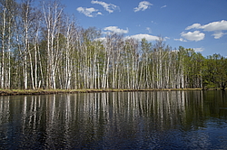 ���� ���, ��������� �������. �������� ����� �� ����. ��� �������� - ����� ���� �������