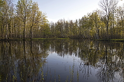 ���� ���, ��������� �������. �������� ����� �� ����. � ������� ���� ���