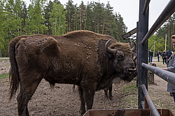 ���� ���, ��������� �������. �������� ����� �� ����. ���������� ���������