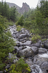 ������� -������� ����������. �������� ��������� �������. � ������ ������� �����