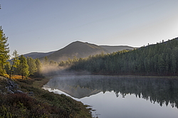 �������-������� ����������. ������ ���� ����. ���������� �����. �� ������� ������