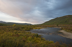 �������-������� ����������. ���� ���� � �������� ���������� �� �������