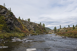 �������-������� ����������. ���� ���� � ���� �������� ���������� �� �������