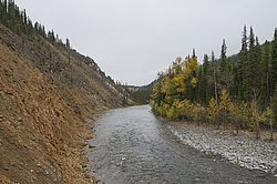 �������-������� ����������. ���� ����. ��������� �����