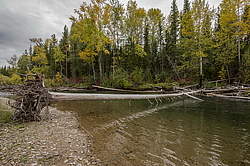 �������-������� ����������. ���� ����. �����������