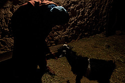 �������, � ������ � ������� ��������� ����� Tazenakht � ����������