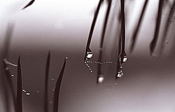 ��������� ���� �� ����