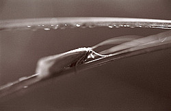 ��������� ���� �� ����