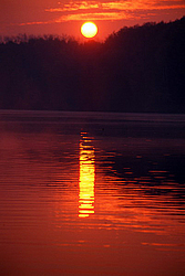 ������-���� �� �������. �������� ����