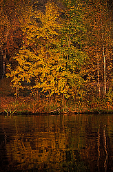 ������� �������, ������� ������ ������