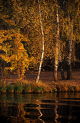 ������� �������, ������� ������ ������