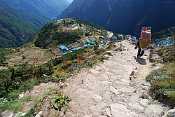 �����. �������. ���� � �������� ��������