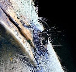 �������� ��������