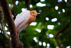 �������� ��������