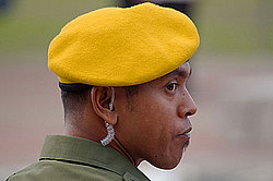 ���� ������������� (��������)