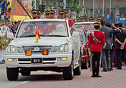 ���� ������������� (��������)