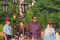 ���� ������������� (��������)