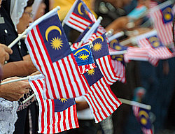 ���� ������������� (��������)