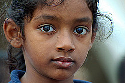 ���� ������������� (��������)