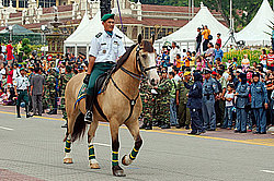 ���� ������������� (��������)