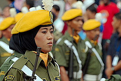 ���� ������������� (��������)