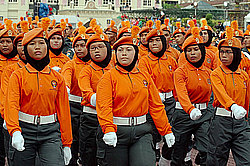 ���� ������������� (��������)