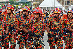 ���� ������������� (��������)