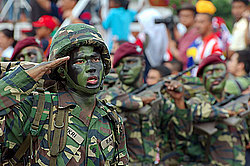 ���� ������������� (��������)