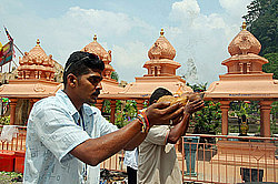 ������ - ���� (��������, ����� ������)