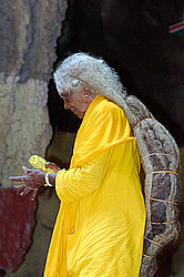 ������ - ���� (��������, ����� ������)