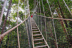 ���������� ����� ������, ��������