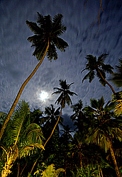 ����������� �������, ������ �����