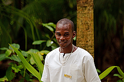 ����������� �������, ������ �����