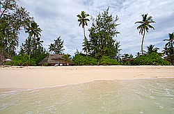 ����������� �������, ������ �����