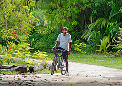 ����������� �������, ������ �����