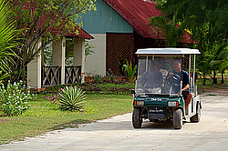 ����������� �������, ������ �����