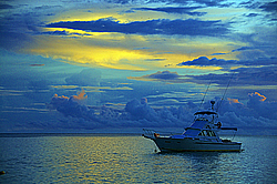 ����������� �������, ������ �����