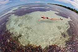 ����������� �������, ������ �����