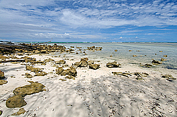 ����������� �������, ������ �����