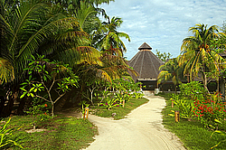 ����������� �������, ������ �����