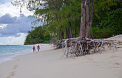 ����������� �������, ������ �����