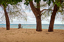 ����������� �������, ������ �����