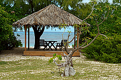 ����������� �������, ������ �����