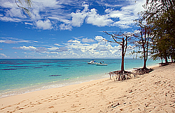 ����������� �������, ������ �����