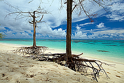 ����������� �������, ������ �����