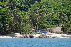 ����������� �������, ������ ���