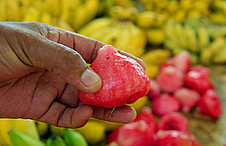 ����������� �������, ������ ���