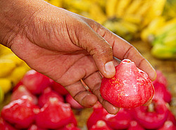 ����������� �������, ������ ���