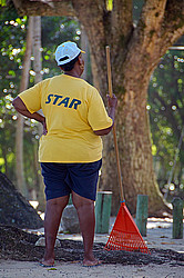 ����������� �������, ������ ���