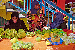 ����������� �������, ������ ���